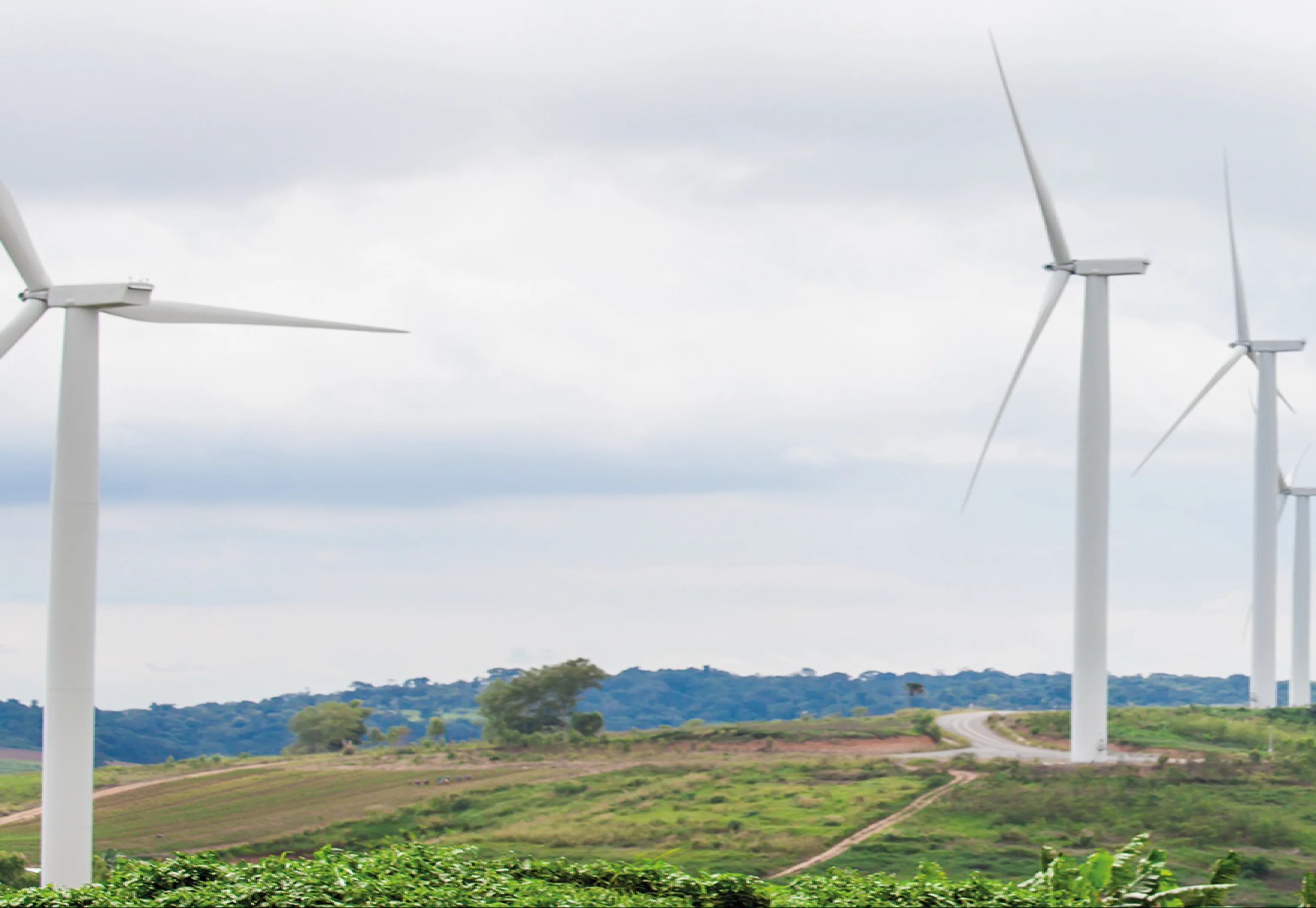 - Climate change and sustainibility
